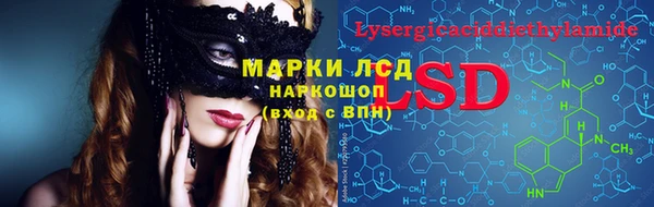 прущие грибы Горно-Алтайск