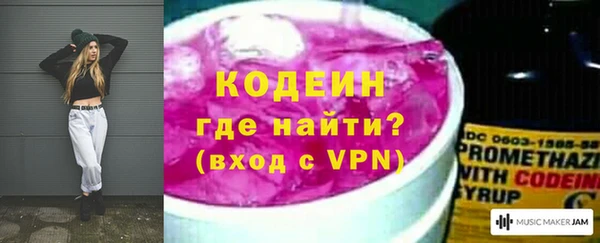 прущие грибы Горно-Алтайск