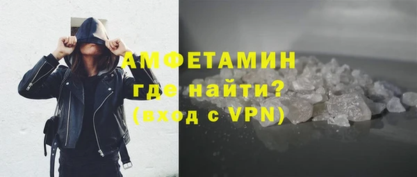 прущие грибы Горно-Алтайск