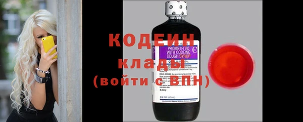 прущие грибы Горно-Алтайск