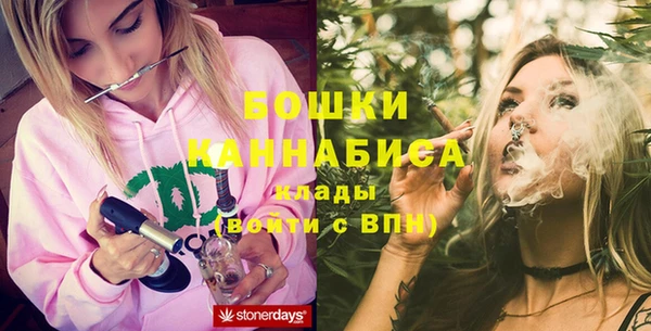 гидропоника Горнозаводск