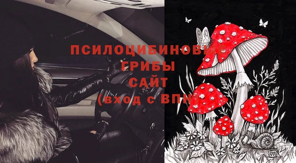прущие грибы Горно-Алтайск