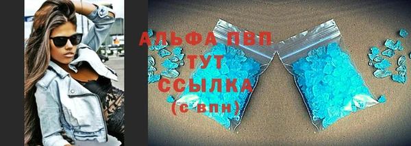 прущие грибы Горно-Алтайск