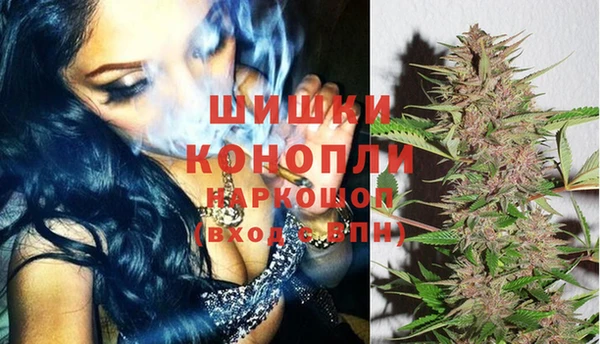 прущие грибы Горно-Алтайск