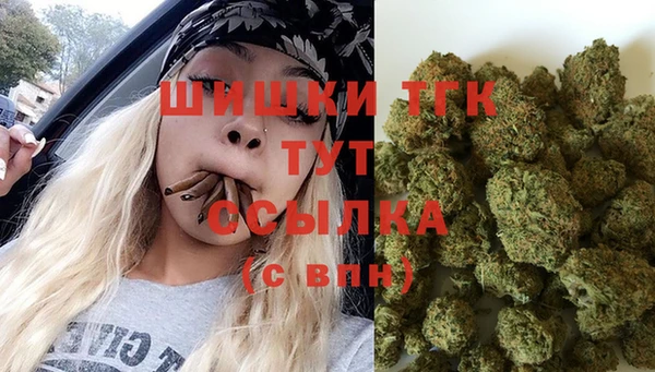 прущие грибы Горно-Алтайск