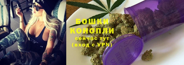 прущие грибы Горно-Алтайск
