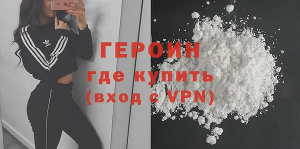 прущие грибы Горно-Алтайск